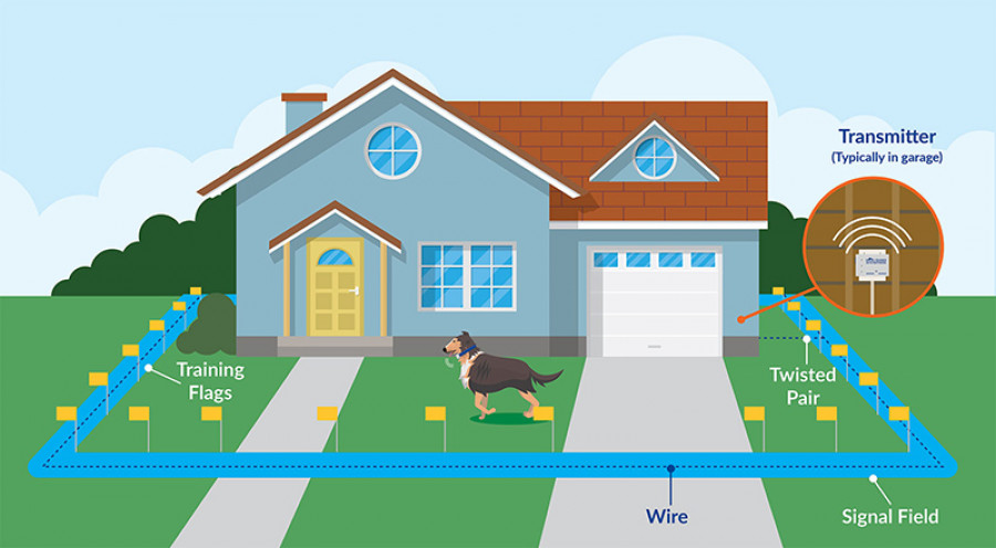 Dog Guard Fence Illustration